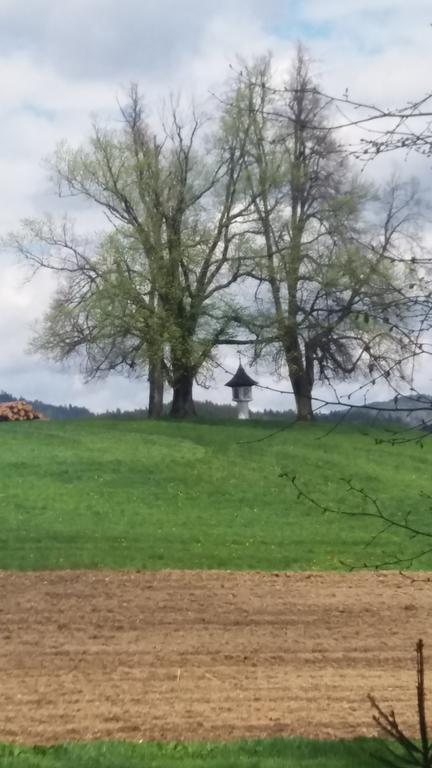 فيلا فيلدين ام ورثرسيفي Lindenhof المظهر الخارجي الصورة